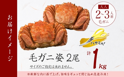 2987.毛蟹 2尾 計1kg前後 食べ方ガイド・専用ハサミ付 カニ かに 蟹 海鮮 ボイル 送料無料 北海道 弟子屈町