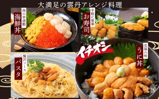 3209. うに 海鮮 ウニ チリ産 冷凍 200g 4人前 雲丹 丼 刺身 送料無料 北海道 弟子屈町