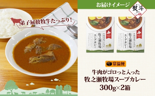 3025. 無地熨斗 ビーフ スープカレー 300g 2箱 カレー ビーフカレー スープ 牛 牛肉 放牧牛 牧場 レトルトカレー レトルト食品 レトルト 湯煎 レンジ 牧之瀬牧場 送料無料 北海道 弟子屈町