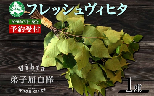 2025年 7月以降順次発送 1510.  フレッシュ 白樺 ヴィヒタ 1束 北海道 白樺 ヴィヒタ アロマ ウィスク インテリア サウナグッズ サウナ テントサウナ 北海道 弟子屈町 10000円