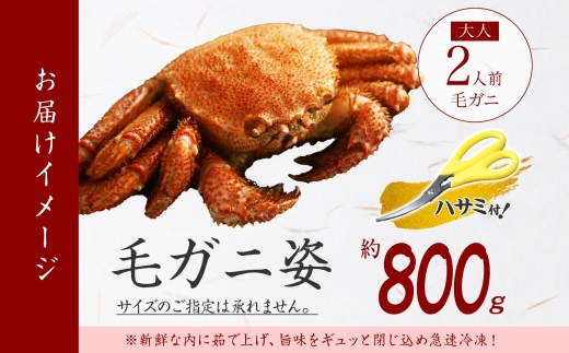 2986.カニ 蟹 毛蟹 800g前後 かに カニ 毛ガニ 毛がに 毛カニ 丸ごと 蟹肉 ボイル 送料無料 北海道 弟子屈町