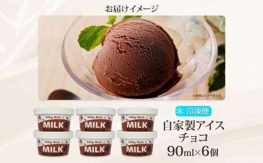 3220. 牧之瀬牧場 自家製アイス チョコ 90ml 6個 アイス 氷菓子 チョコ味 チョコレート フレーバー 牧場 手作り セット おやつ デザート スイーツ 冷凍 ギフト 送料無料 北海道 弟子屈町