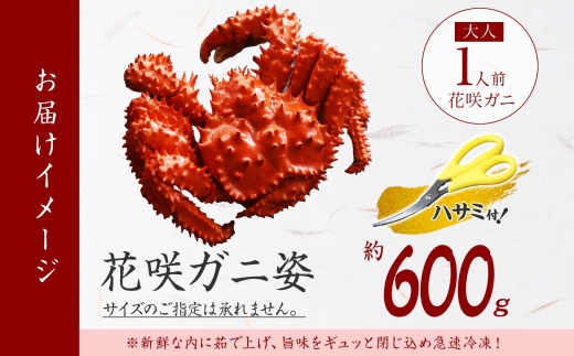 2926. ボイル花咲蟹姿 600g 食べ方ガイド・専用ハサミ付 カニ かに 蟹 送料無料 北海道 弟子屈町