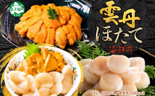 3078. うに チリ産 冷凍 200g ホタテ 200g 計400g セット ウニ 雲丹 ほたて 生ほたて 帆立 海鮮 海鮮丼 送料無料 北海道 弟子屈町