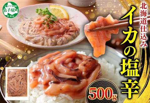 3163. いかの塩辛 500g いか イカ 烏賊 おつまみ 魚介 海鮮 送料無料 北海道 弟子屈町