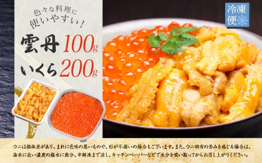 2498.  うに 100g いくら醤油漬け 200g ウニ チリ産 冷凍 いくら 二色丼 雲丹 イクラ 海鮮 海鮮丼 うに丼 いくら丼 いくら醤油漬け 送料無料 北海道 弟子屈町