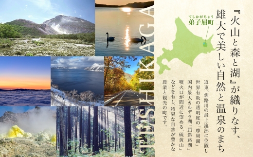 1444. åŒåå± ã«ã¬ãŒ 2çš® é£ã¹æ¯ã¹ èš4å äžèŸ ãã¿ãŒããã³ã«ã¬ãŒ ããŒã¯ã«ã¬ãŒ é¶è è±è ããããã æ¥åçš ã¬ãã«ãã«ã¬ãŒ ã¬ãã«ã ä¿åé£ åè éåžžé£ åžžæž© ãŸãšãè²·ã ãåãå¯ã éæç¡æ åæµ·é åŒåå±çº