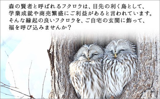 510.木製名入れ　手作り　表札　ふくろう（焼き） 北海道 弟子屈町