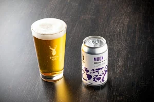 【定期便】Brasserie Knotのレギュラービール4本+東北海道限定ビール2本セット 12回