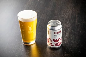 【定期便】Brasserie Knotのレギュラービール4本+東北海道限定ビール2本セット 6回