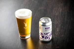 【定期便】Brasserie Knotのレギュラービール4本+東北海道限定ビール2本セット 3回
