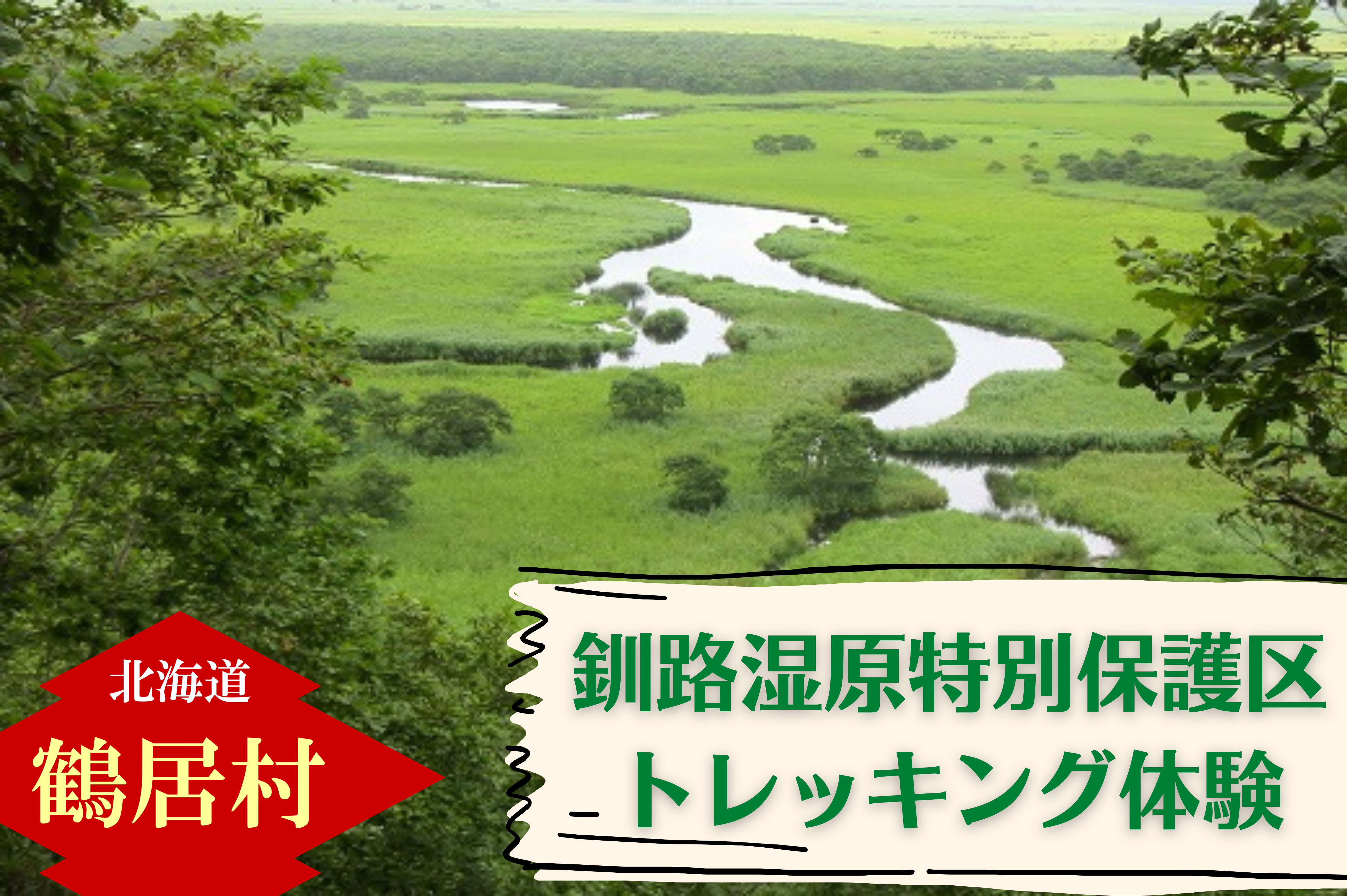 北海道 鶴居村 水の大地　釧路湿原特別保護区トレッキング体験　チケット1枚1名様 