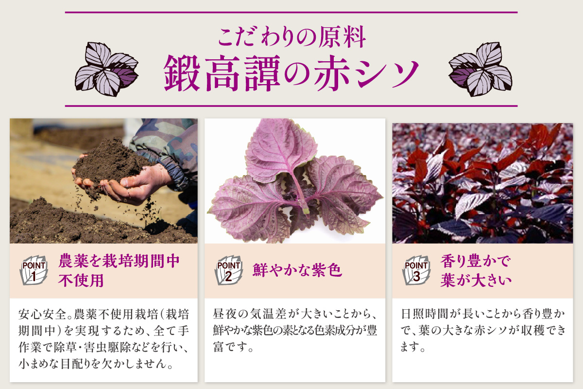 鍛高譚（たんたかたん）の梅酒[720ml]【4本セット】しそ 紫蘇 シソ 梅酒 梅 果実酒 お酒 アルコール お湯割り 水割り ロック ストレート 本格焼酎 定番焼酎 晩酌