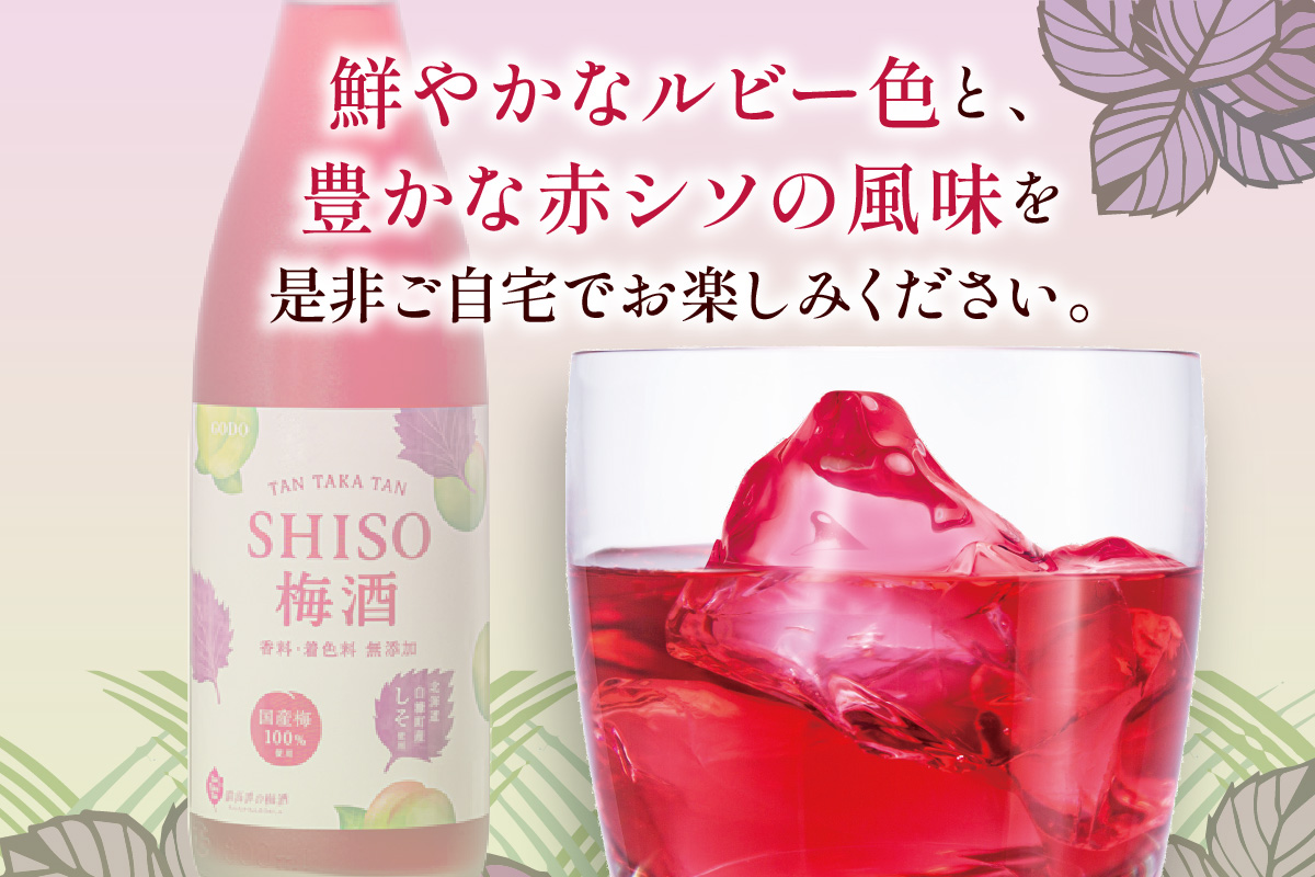 鍛高譚(たんたかたん)の梅酒[1800ml]【6本セット】