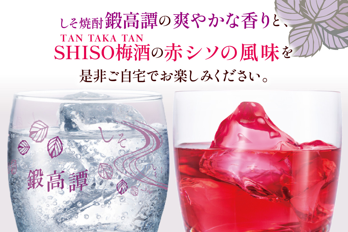 鍛高譚(たんたかたん)・鍛高譚の梅酒[720ml]【12本セット】