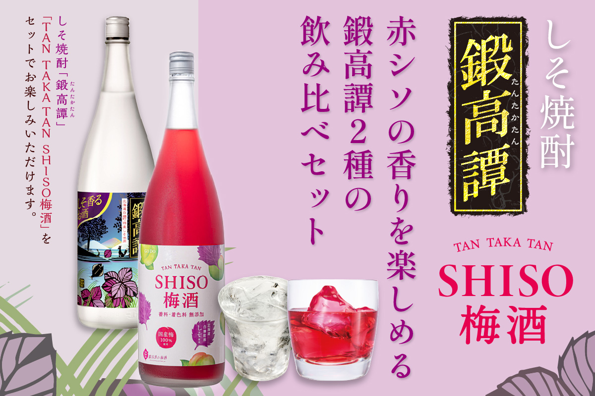 鍛高譚の緑茶ハイ[340ml]【24本セット】