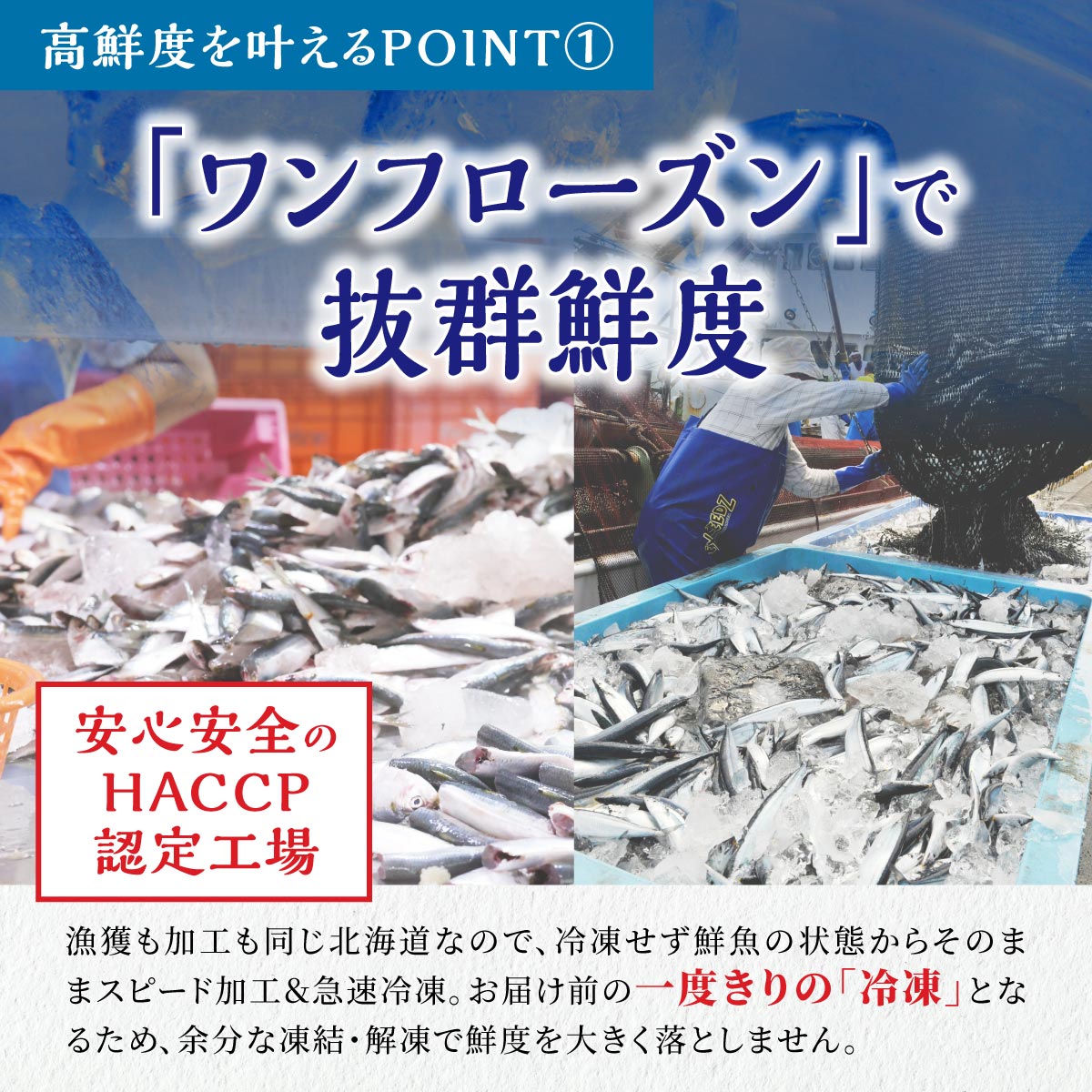 åæµ·éæµã¿ã»ãã ããã逿²¹å³300gÃ3çš®ã»ããïŒãããŸãããããã«ããåïŒPïŒ å°åã åœç£ 極äžå ããã逿²¹æŒ¬ ããã逿²¹æŒ¬ã ã€ã¯ã©é€æ²¹æŒ¬ã ikura éä»é¡ éä» æµ·é®® ãã¯ãã®ãäŸ ããã çœç±³ éåµ æ¥µäž ãããã飿 æ°é®® ã®ãã ãµãããšçŽçš ãµãããšãã§ã€ã¹ åæµ·é çœç³ çº