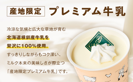 パフェアイス 6個セット アイスクリーム バニラ ミルク メロン 苺 ショコラ 生キャラメル マンゴー ヨーグルト チーズ カシス ハスカップ チョコミント 抹茶 小倉 チョコ バナナ 産地限定 ご当地 牛乳 フルーツ スイーツ ふるさと納税 北海道 白糠町 _B009-1441