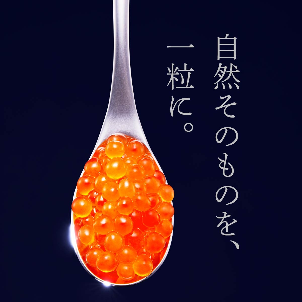 数量限定 完熟いくら【生いくら250g たれ70g】