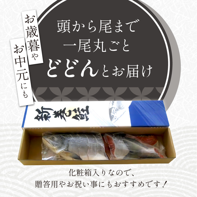 大手百貨店も扱う 新巻鮭姿切身 4分割 1.7kg オス 鮭 さけ シャケ しゃけ sake サーモン 人気 高級 大満足 美味しい 贈答 魚介類 海鮮 真空包装 山漬け ふるさと納税 ふるさとチョイス チョイス 北海道 白糠町