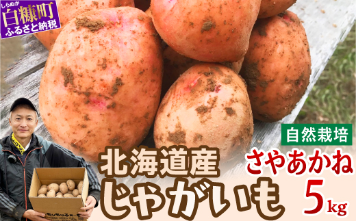 じゃがいも（さやあかね）無農薬・無肥料・自然栽培・北海道産【5kg】