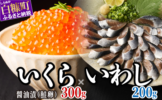 北海道恵みセット いくら醤油味300g×いわし１P  小分け 国産 極上品 いくら醤油漬 いくら醤油漬け イクラ醤油漬け ikura 魚介類 魚介 海鮮 ごはんのお供 おかず 白米 魚卵 極上 プチプチ食感 新鮮 ギフト ふるさと納税 ふるさとチョイス 北海道 白糠町