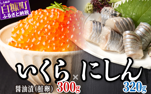 北海道恵みセット いくら醤油味300g×にしん1P  小分け 国産 極上品 いくら醤油漬 いくら醤油漬け イクラ醤油漬け ikura 魚介類 魚介 海鮮 ごはんのお供 おかず 白米 魚卵 極上 プチプチ食感 新鮮 ギフト ふるさと納税 ふるさとチョイス 北海道 白糠町