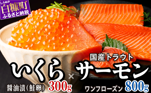【ふるさと納税】 醤油漬鮭いくら 300g(100g×3パック) ×国産トラウトサーモン 800gのセット ふるさと納税 いくら イクラ 鮭いくら 鮭イクラ 鮭 秋鮭 完熟卵 たらこ 海鮮 ごはんのお供 白米 海鮮食品 魚卵 魚