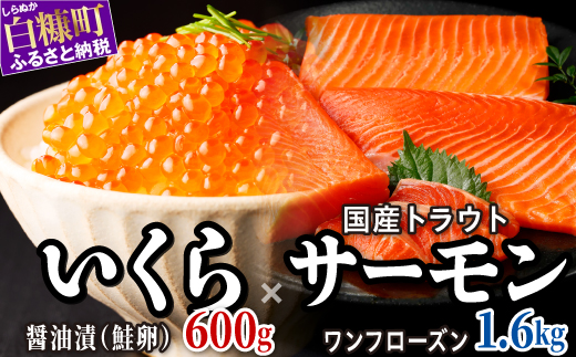 【ふるさと納税】 醤油漬鮭いくら 600g(100g×3パック×2) ×国産トラウトサーモン 1.6kgのセット ふるさと納税 いくら イクラ 鮭いくら 鮭イクラ 鮭 秋鮭 完熟卵 たらこ 海鮮 ごはんのお供 白米 海鮮食品 魚卵 魚