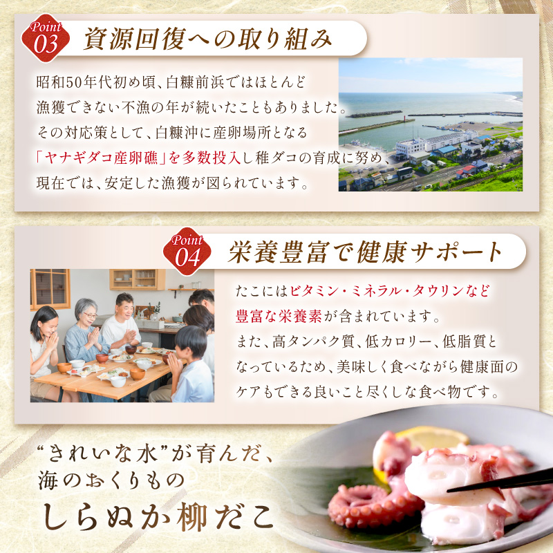 しらぬか産刺身用柳だこ【600g×2個入り】