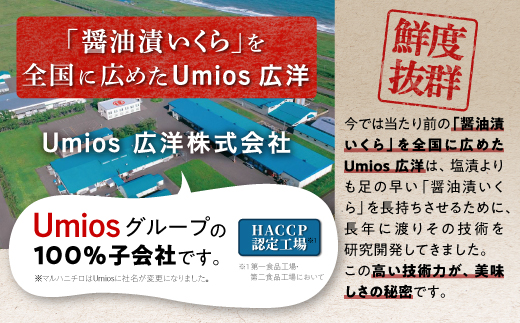 いくら醤油漬（鮭卵） 400g(200g×2パック) イクラ 小分け いくら醤油漬 鮭いくら いくら醤油漬け 鮭 鮭卵 ikura 醤油いくら 冷凍いくら いくら北海道 醤油鮭いくら 人気 大好評品 北海道 白糠町
