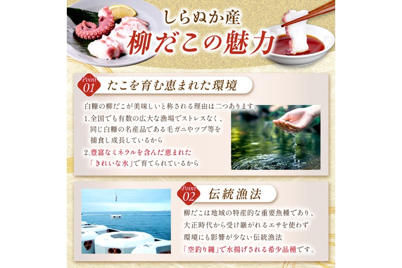 「しらぬか産柳だこ」とBBQに「たこ串(塩味・味噌味・醤油味)」のセット