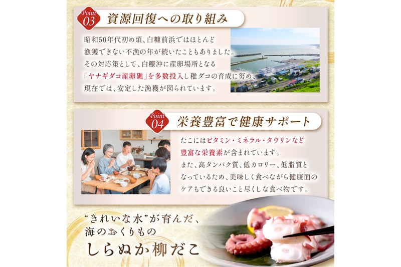 「しらぬか産柳だこ」とBBQに「たこ串(塩味・味噌味・醤油味)」のセット