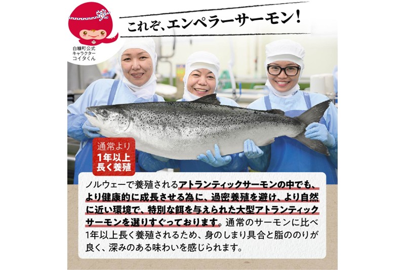 【訳あり】エンペラーサーモン【900g】
