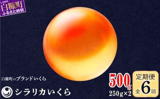 年6回お届け定期便 シラリカいくら（生いくら）【500g（250g×2）】