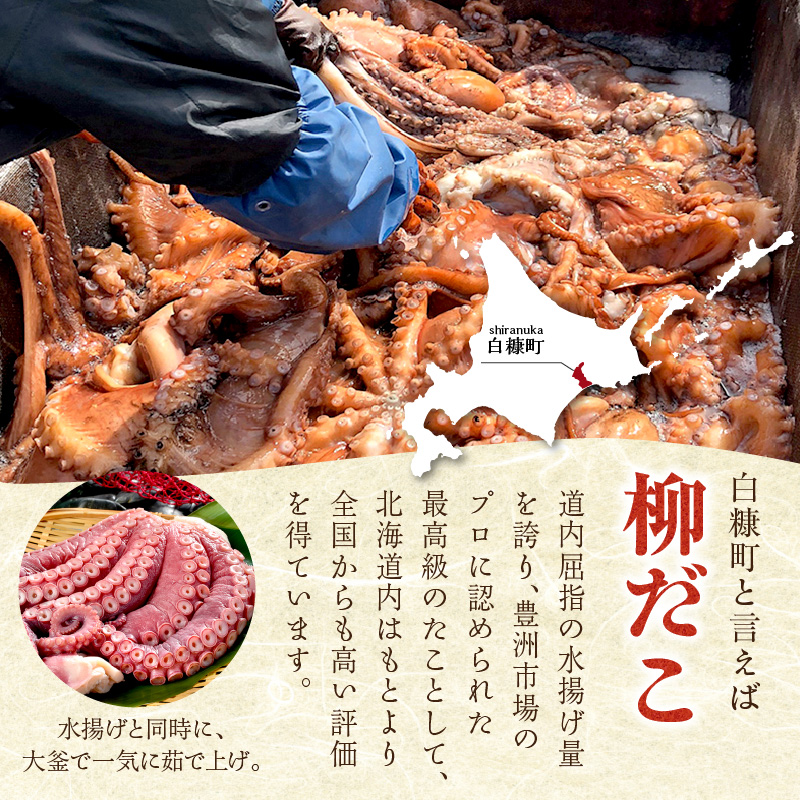 しらぬか産刺身用柳だこ【600g×2個入り】