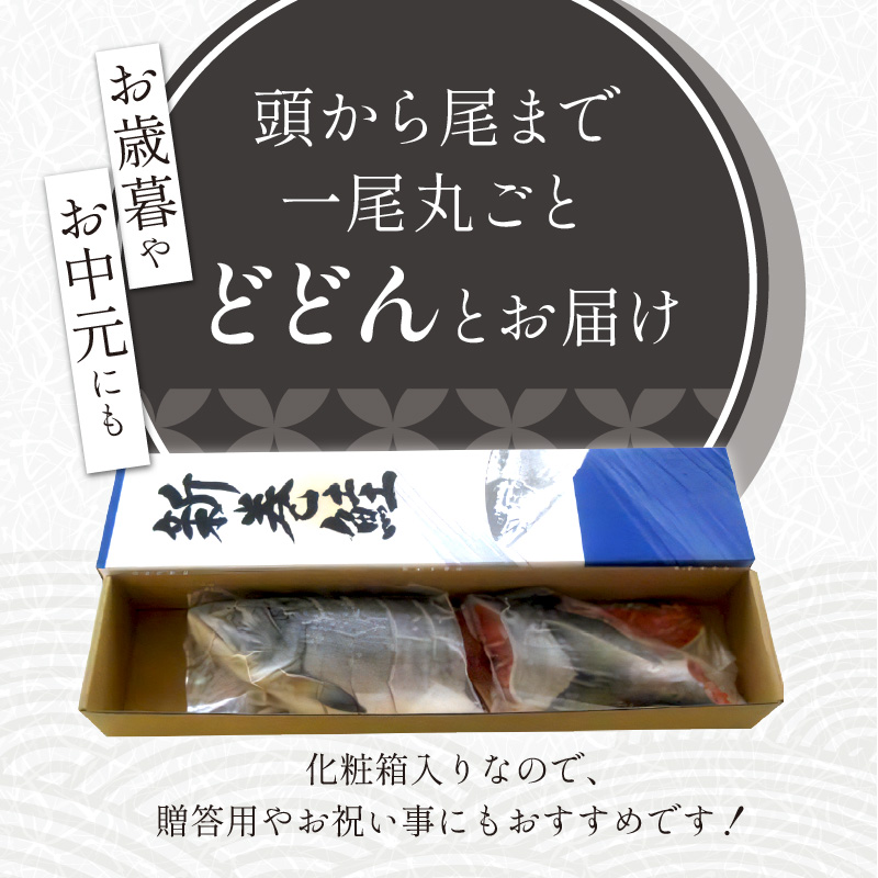 大手百貨店も扱う「新巻鮭姿切身」【4分割 1.7kg】