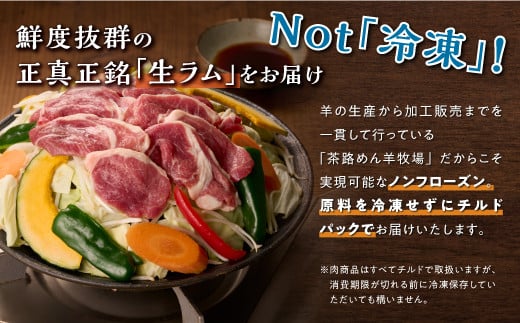 焼肉用ラム肉スライス【250g×2パック、オリジナルスパイス10g】