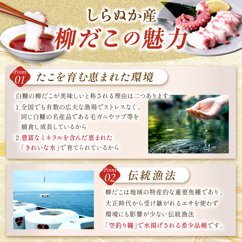 しらぬか産刺身用柳だこ【600g×2個入り】