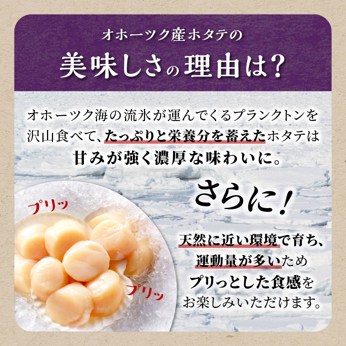 【数量限定】【訳あり】オホーツク産お刺身用ホタテ【1kg】※袋はファスナー付きだからとっても便利※