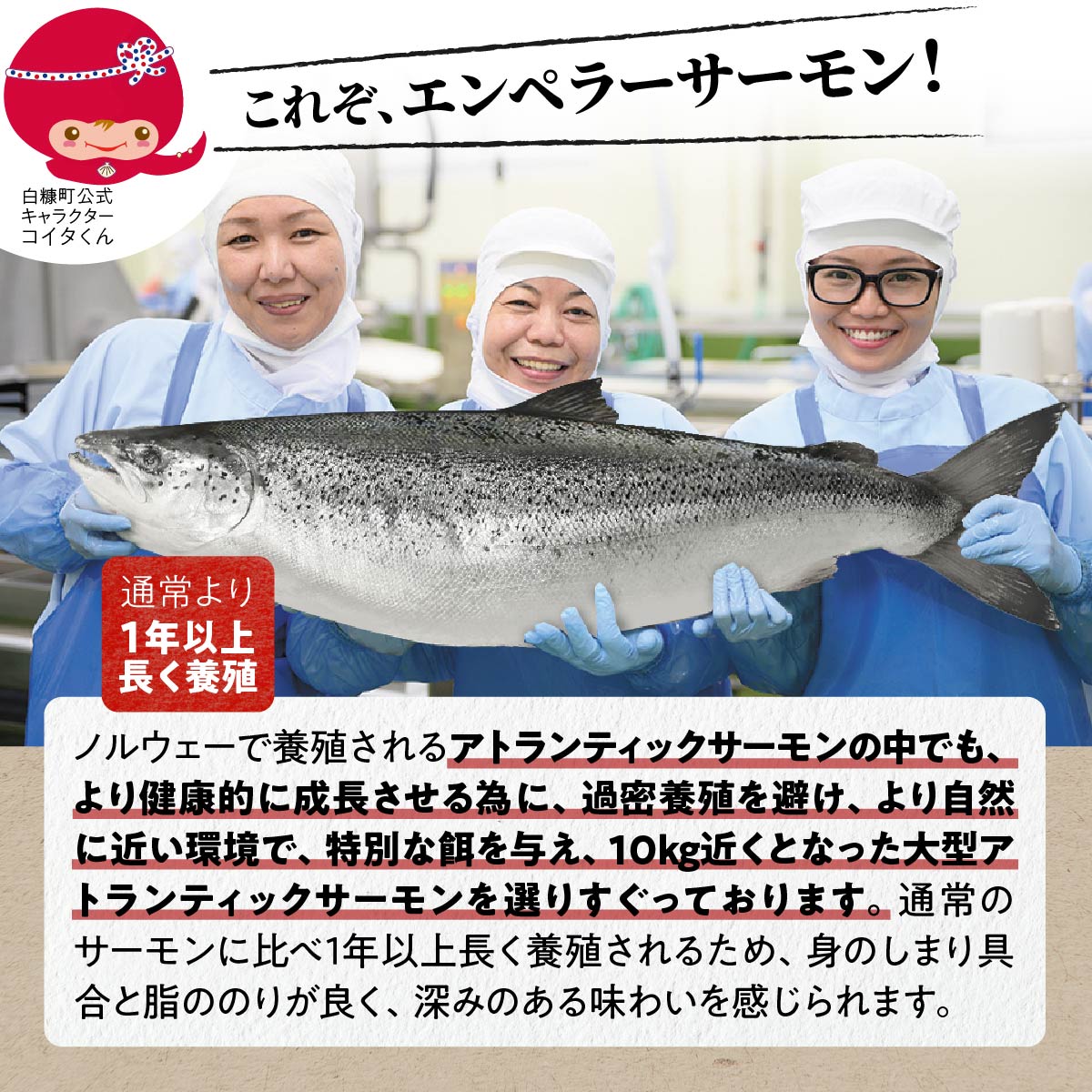 ※2024年8月末までにお届け※「【訳あり】いくら醤油漬（鮭卵）400g（200g×2パック）」 × 「エンペラーサーモン【900g】」 の親子丼セット