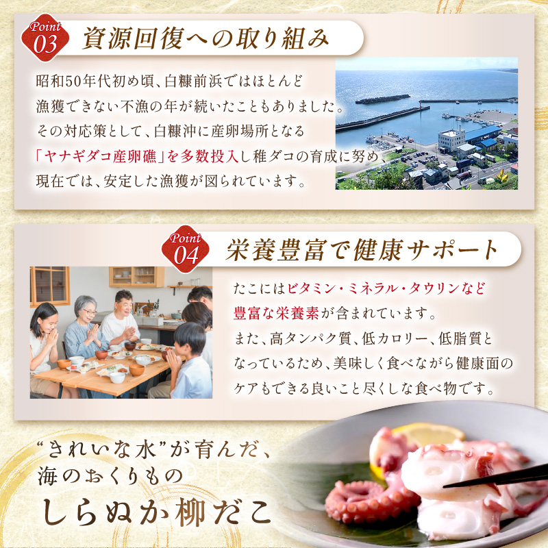 しらぬか産刺身用柳だこ【600g×2個入り】