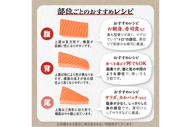 ギンサケサーモン【1kg】 小分け 下処理不要 絶品の「塩締め」レシピ ふるさと納税 海鮮 サーモン 鮭 魚 銀鮭 刺身 生食用 さけ サケ ふるさと ランキング 人気 魚介類 魚介 北海道 白糠町