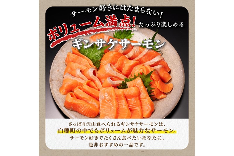 ギンサケサーモン【1kg】 小分け 下処理不要 絶品の「塩締め」レシピ ふるさと納税 海鮮 サーモン 鮭 魚 銀鮭 刺身 生食用 さけ サケ ふるさと ランキング 人気 魚介類 魚介 北海道 白糠町