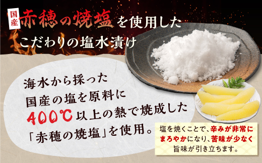 ãèš³ãããå¡©æ°ã®åã200gÃ3ãããã¡ ãæ£æ æ°ã®å ããã®ã å¡©æ°ã®å å¡©ããã®ã ã€ãŸã¿ åæµ·é æµ·é®® äººæ° èš³ãã äžæã ãããã ã°ã«ã¡ é£ã¹ç© éåµ é éä» åæµ·é çœç³ çº