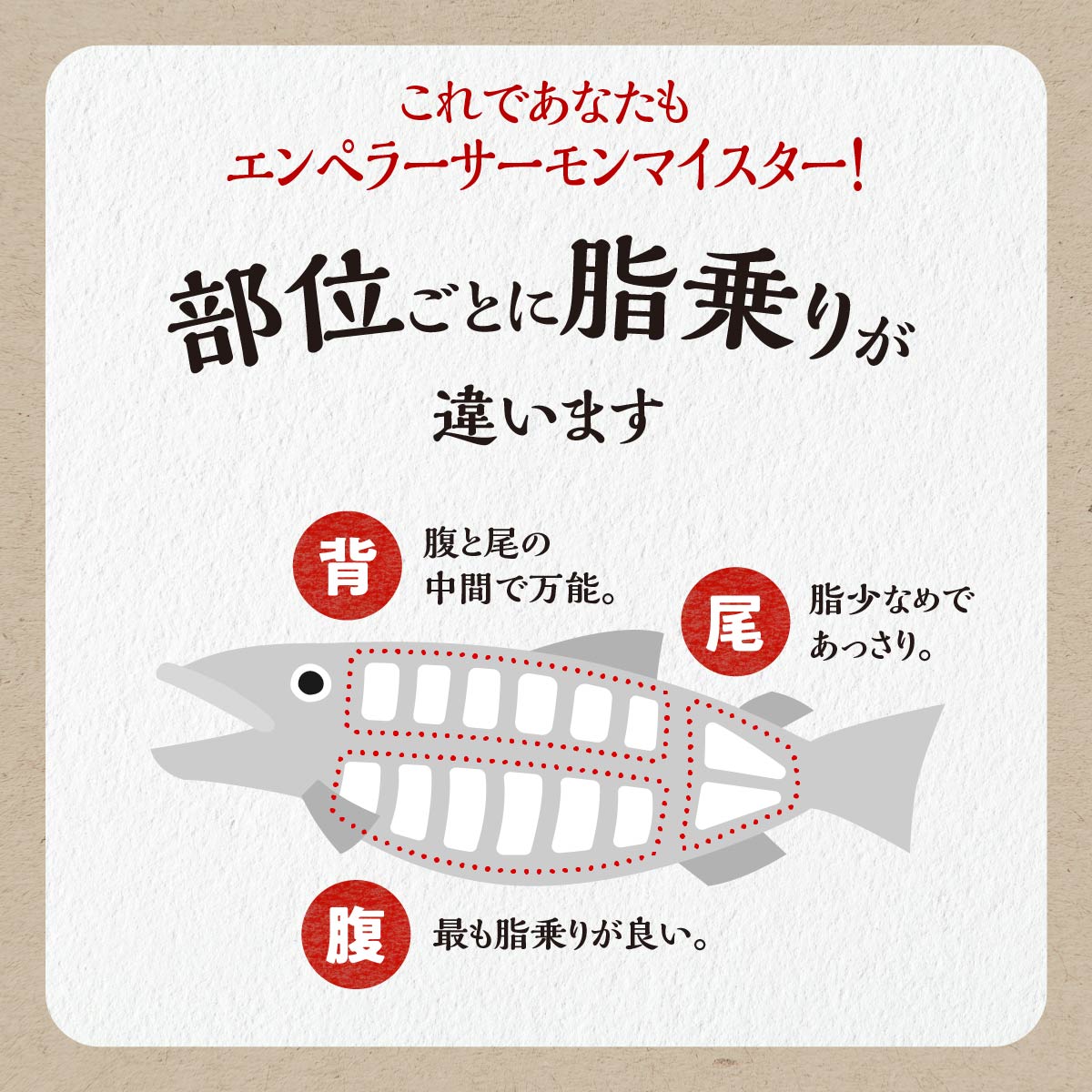 窶サ2026蟷エ2譛域忰縺セ縺ァ縺ォ縺雁ア翫¢窶サ繧ィ繝ウ繝壹Λ繝シ繧オ繝シ繝「繝ウ 1.8kg 繧オ繝シ繝「繝ウ 魄ュ 蛻コ霄ォ 縺輔¢ 繧オ繧ア 莠コ豌 縺オ繧九&縺ィ 豬キ魄ョ 豬キ魄ョ鬟溷刀 鬲壻サ矩。 鬲壻サ 繝ゥ繝ウ繧ュ繝ウ繧ー 螟壽焚蜈・雉 蛹玲オキ驕 逋ス邉逕コ