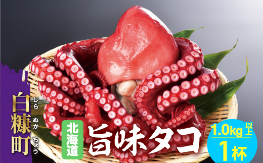 北海道旨味たこ【1.0kg以上×1杯】