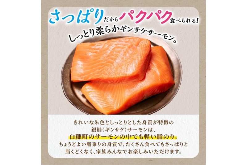 ギンサケサーモン【1kg】 小分け 下処理不要 絶品の「塩締め」レシピ ふるさと納税 海鮮 サーモン 鮭 魚 銀鮭 刺身 生食用 さけ サケ ふるさと ランキング 人気 魚介類 魚介 北海道 白糠町