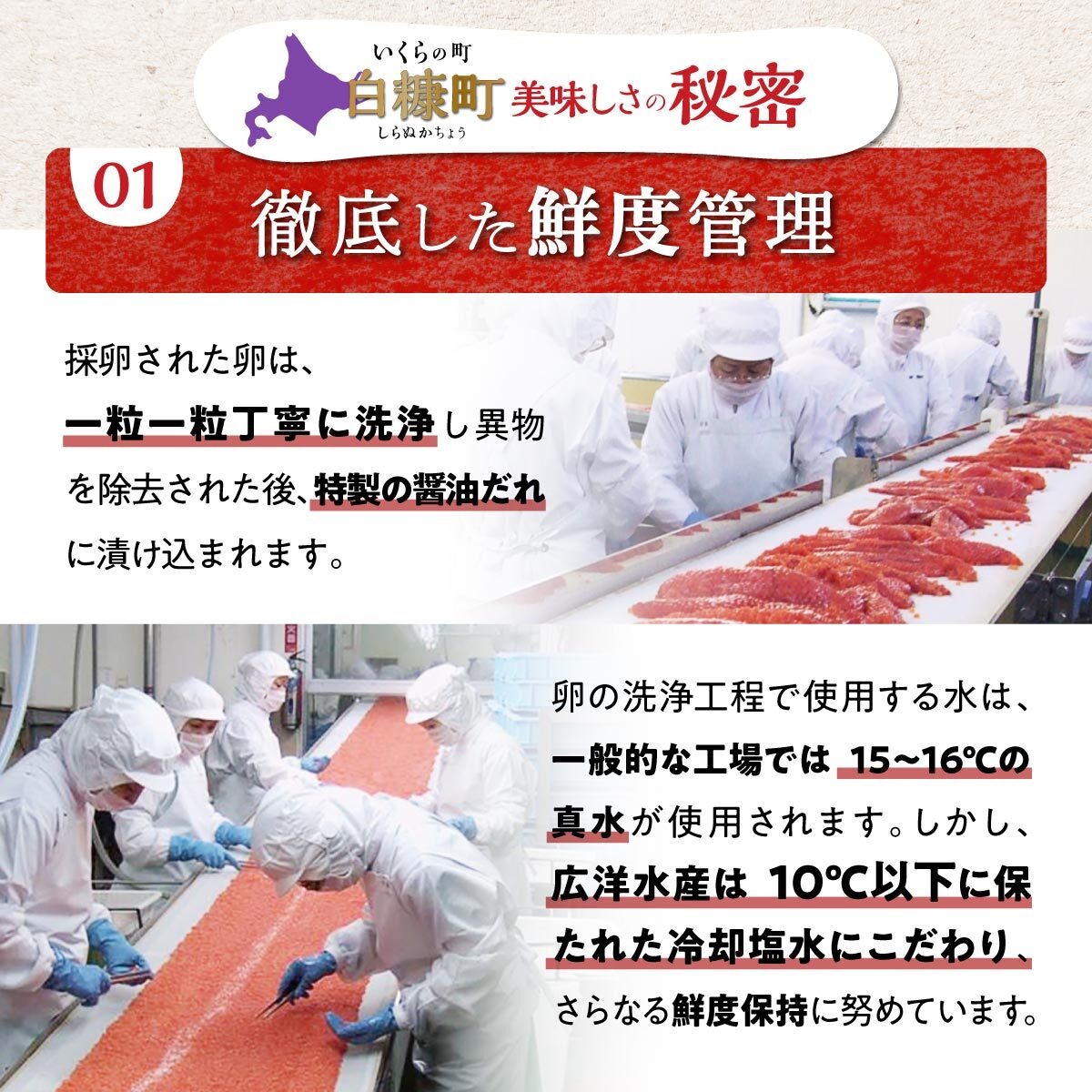 ããã逿²¹æŒ¬ïŒé±åµã»é®åµïŒé£ã¹æ¯ã¹ã»ãããèš800gïŒå400g ïŒã