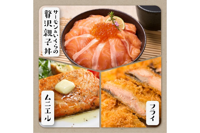 ギンサケサーモン【1kg】 小分け 下処理不要 絶品の「塩締め」レシピ ふるさと納税 海鮮 サーモン 鮭 魚 銀鮭 刺身 生食用 さけ サケ ふるさと ランキング 人気 魚介類 魚介 北海道 白糠町